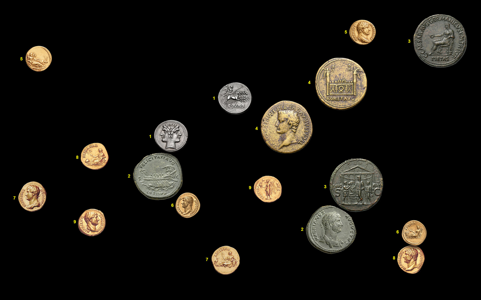 Coin Collage4 new coins.jpg