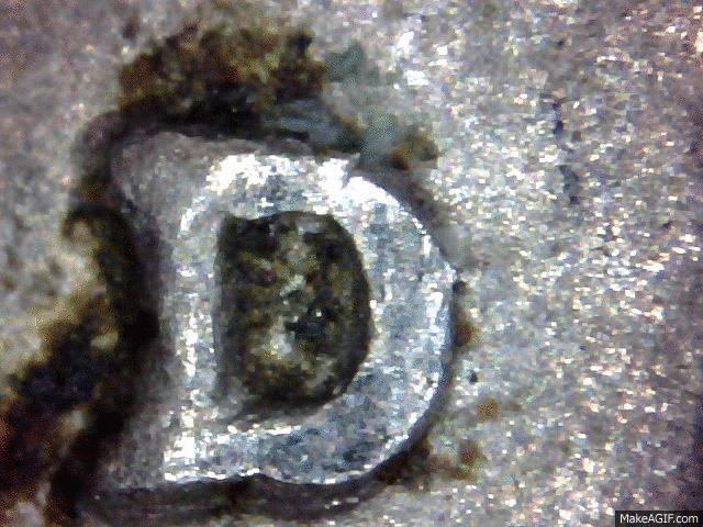 coin.gif