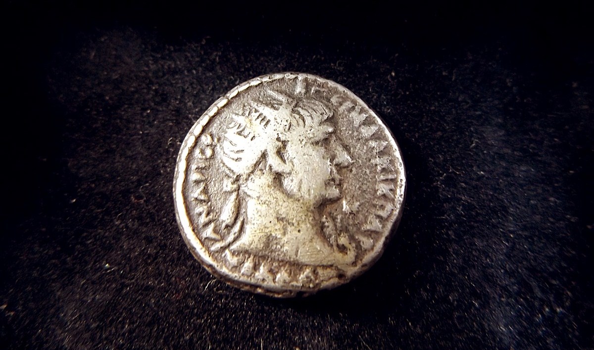 Coin - Head 1.jpg
