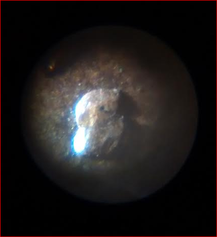 Coin microscope.PNG