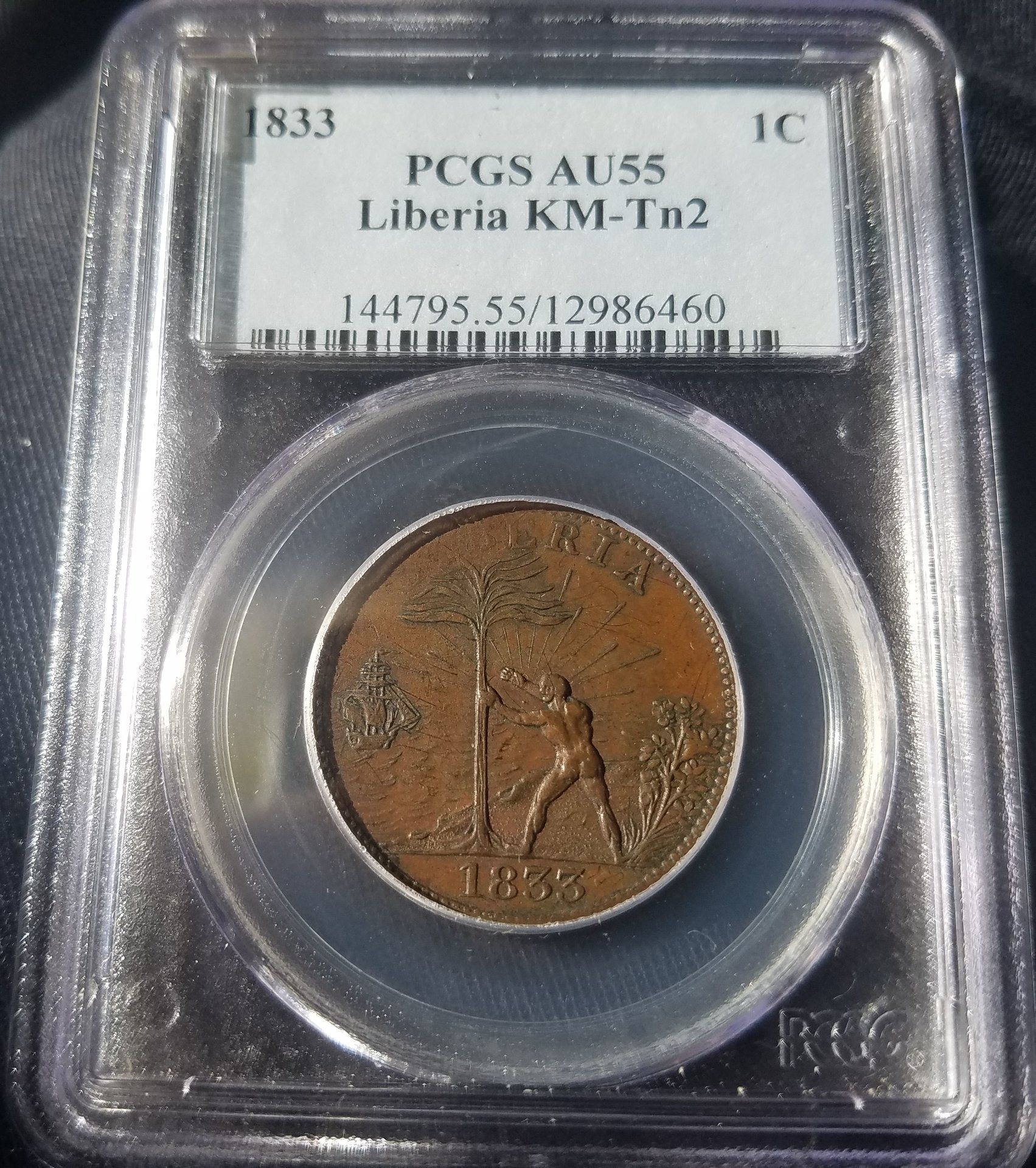 Coin Obv.jpg