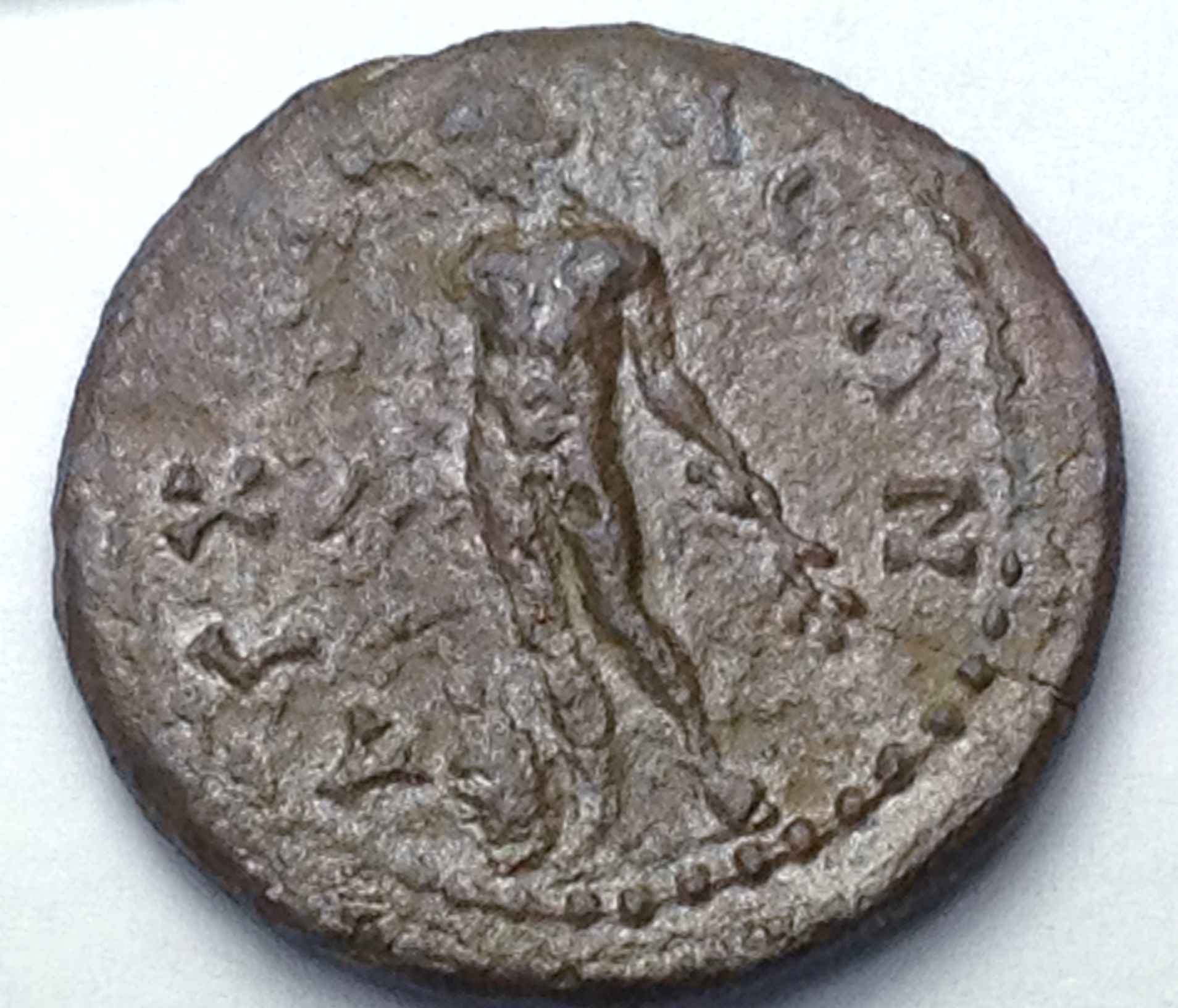 coin photos 9 30 2014 043.JPG