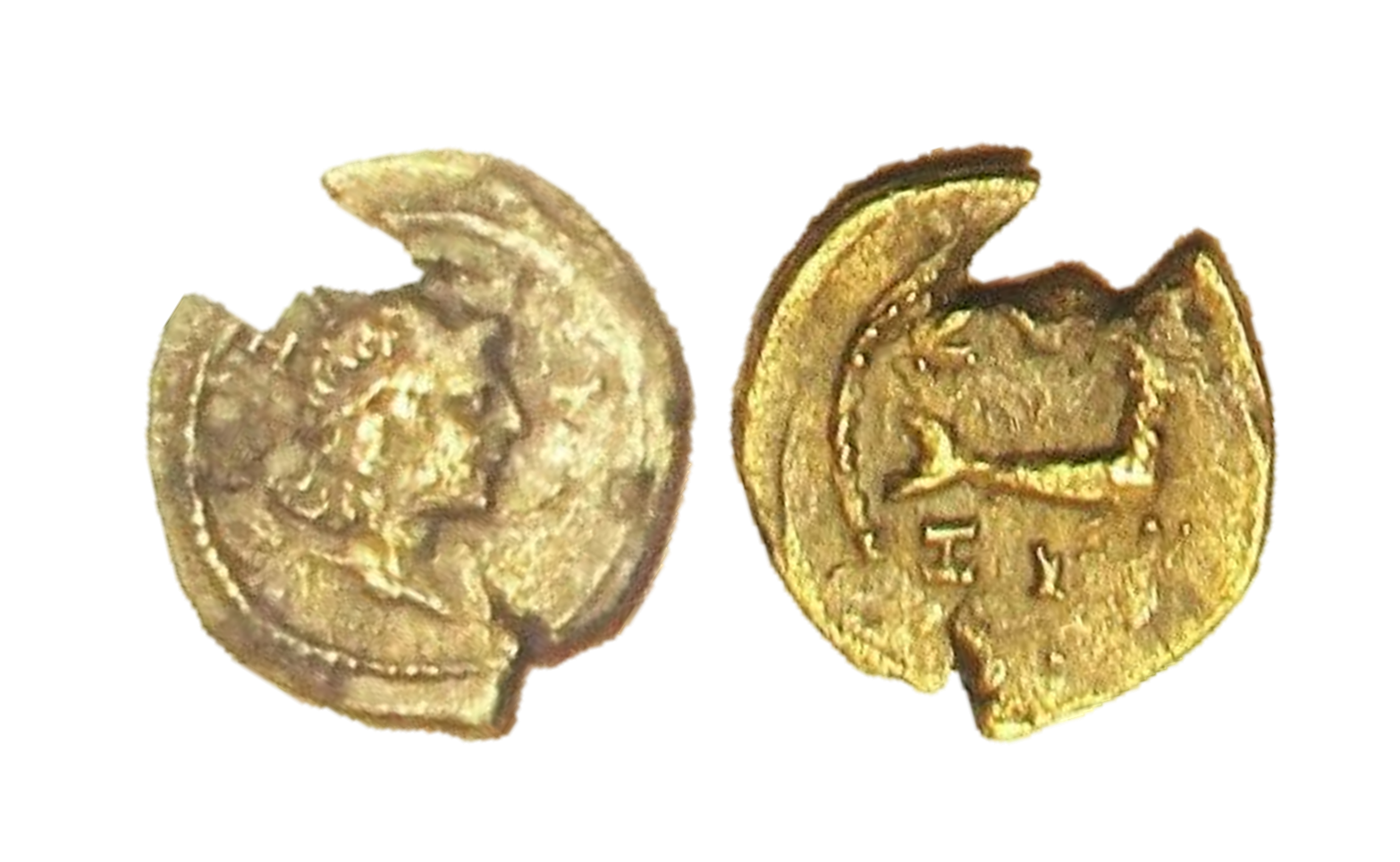 coin.png