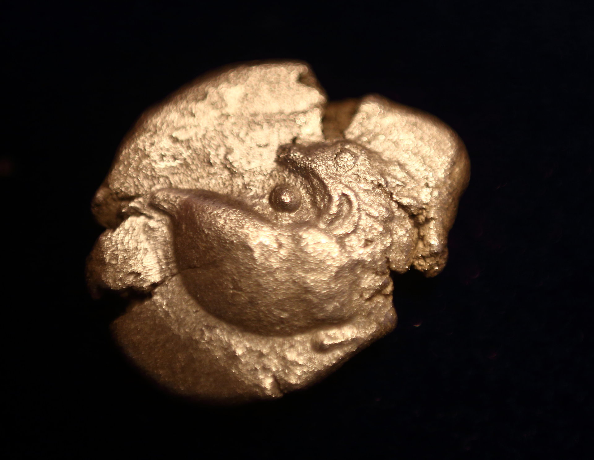 coin00000221.JPG