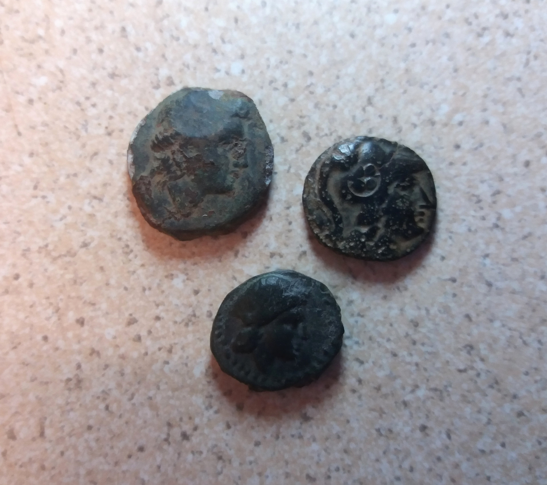 coin1.jpg