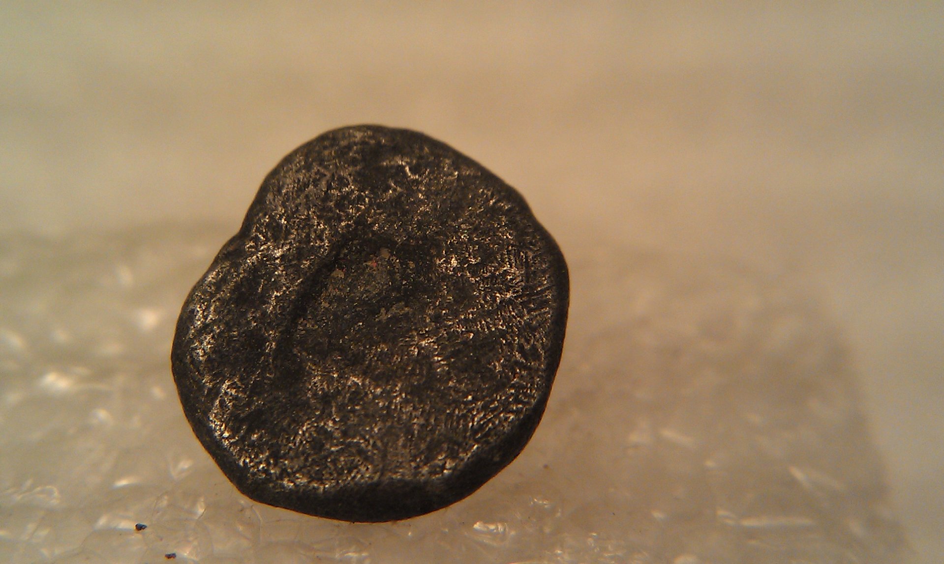 coin1.jpg