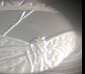 coin2.jpg