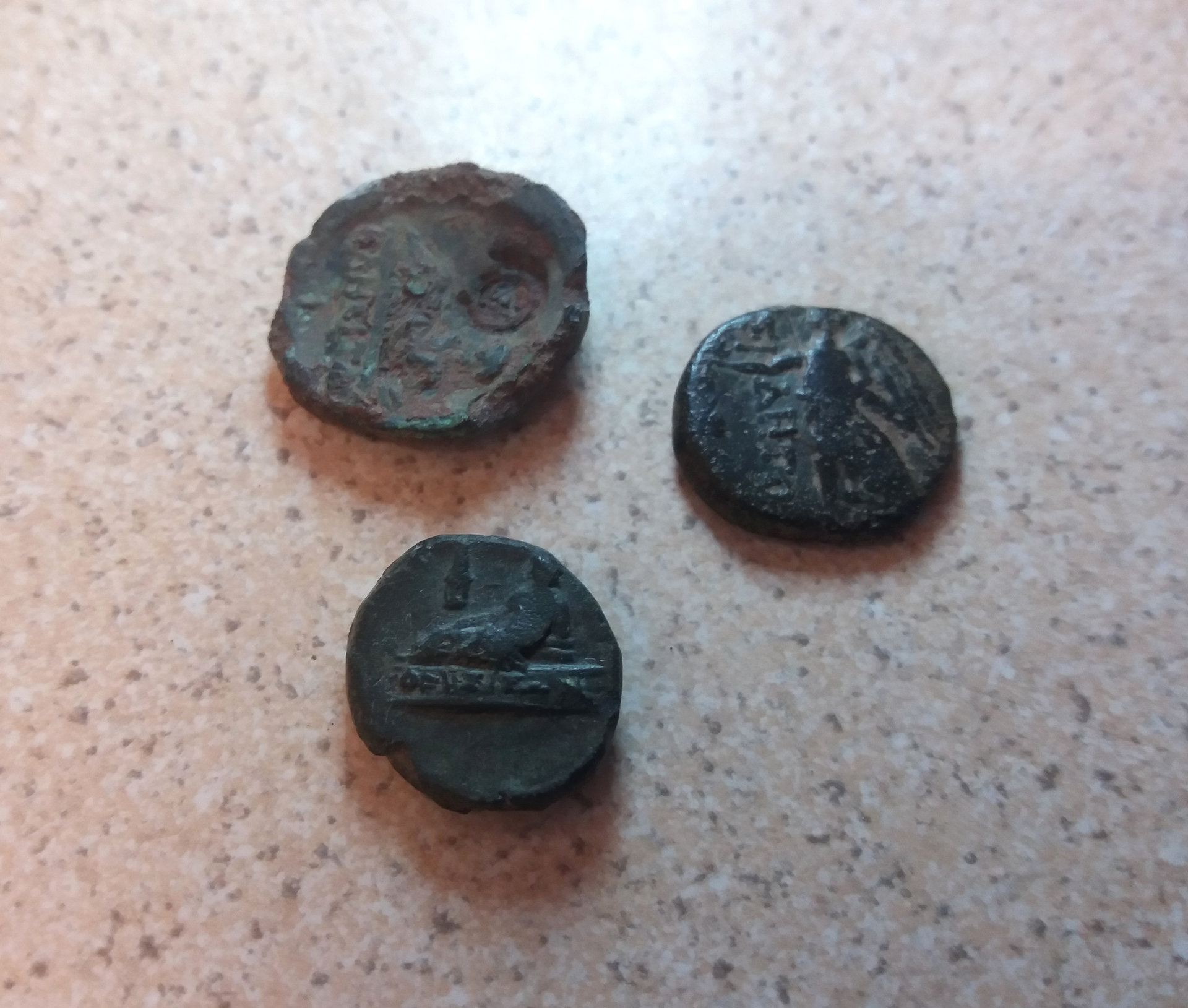 coin2.jpg