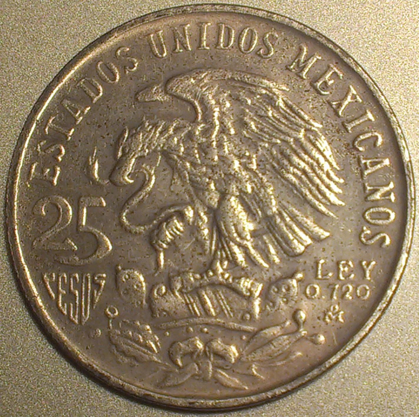 coin2.jpg