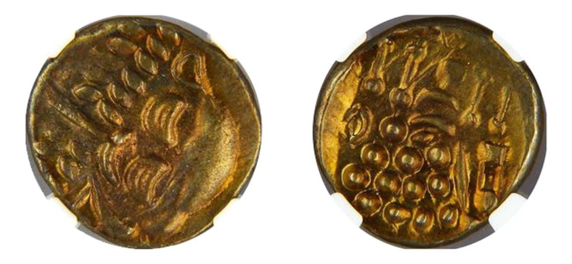 Coin312_2048x (1).jpg