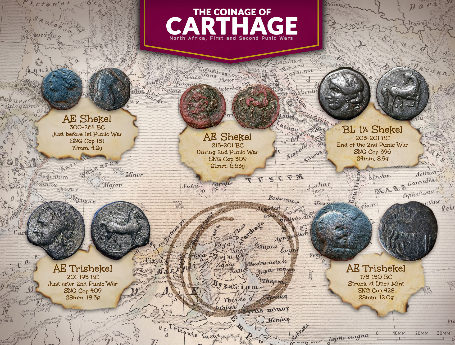 Coinage-of-Carthage.jpg