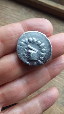coinapameiaO.jpg