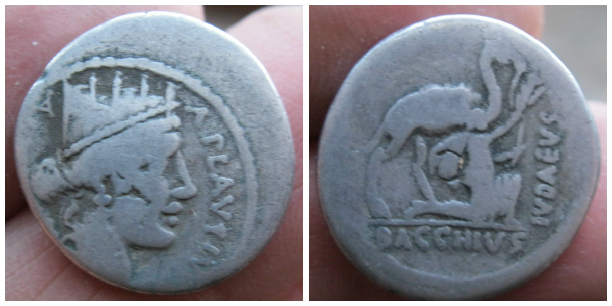 coinboughjudaeusbacchus.jpg