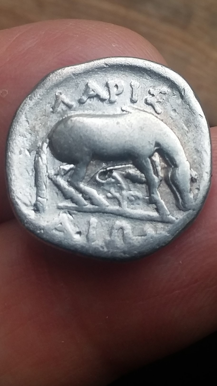 coinboughtlarissaDrachmR.jpg