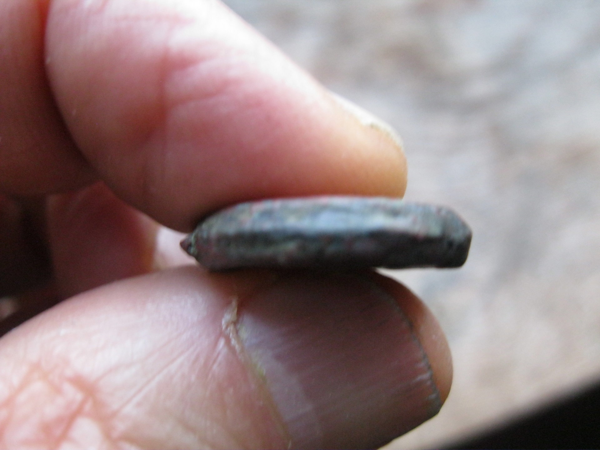 coinboughtprutahfourseam1.JPG