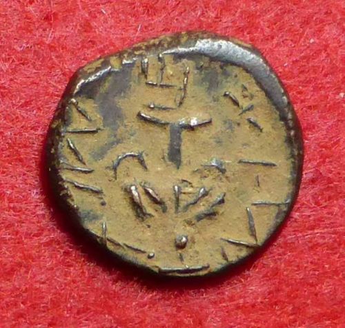 coinboughtrevoltobv.jpg