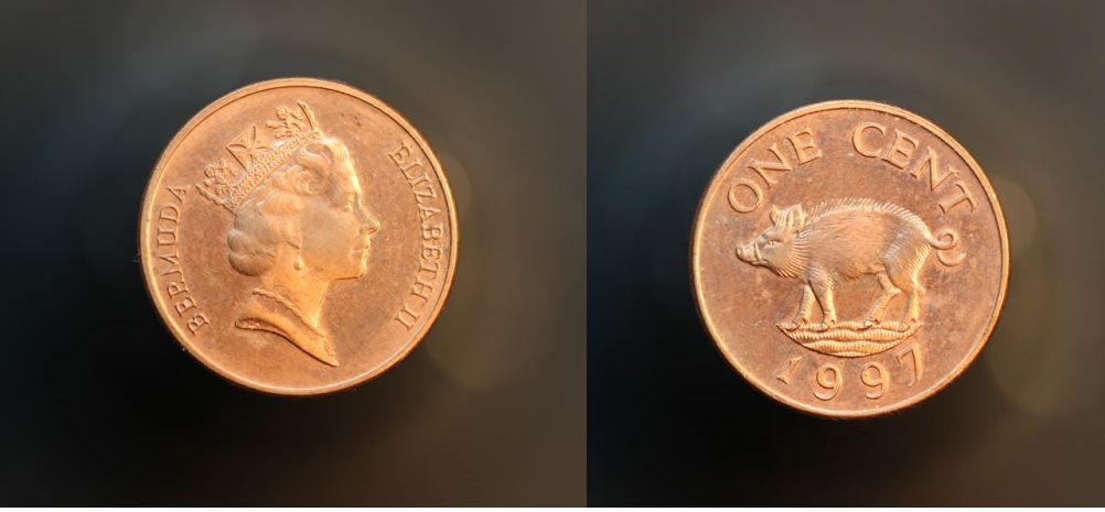 coinclub Dec 014_opt.jpg