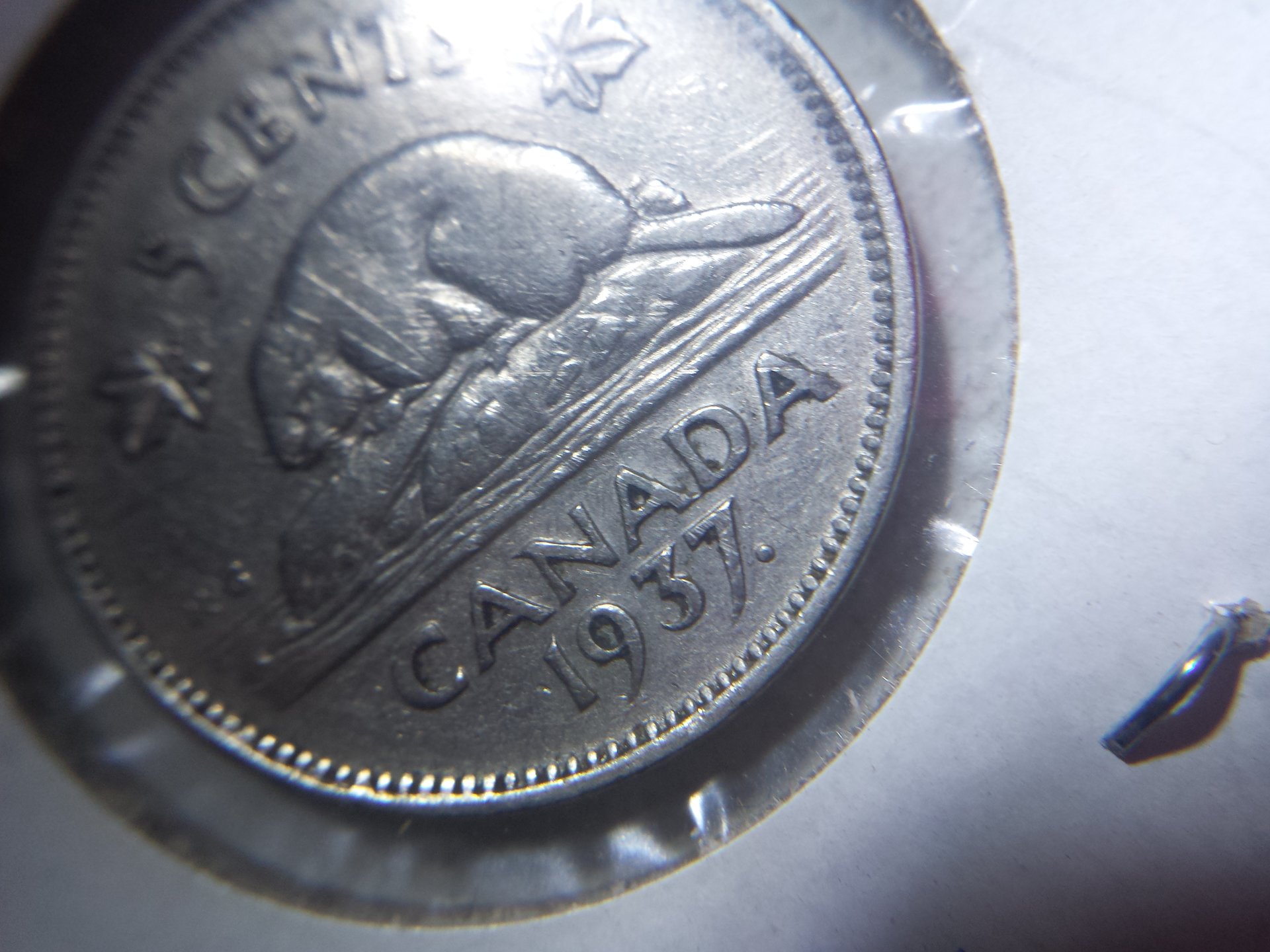 coins 012.jpg