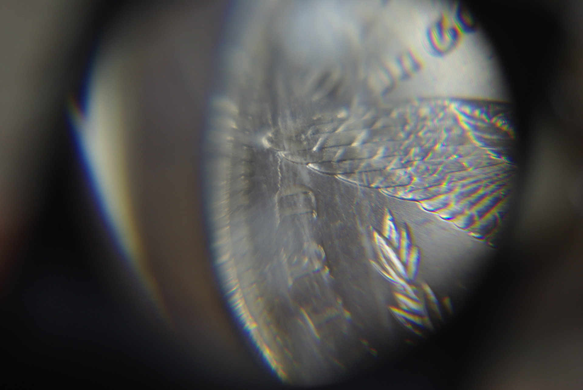 coins 037.JPG