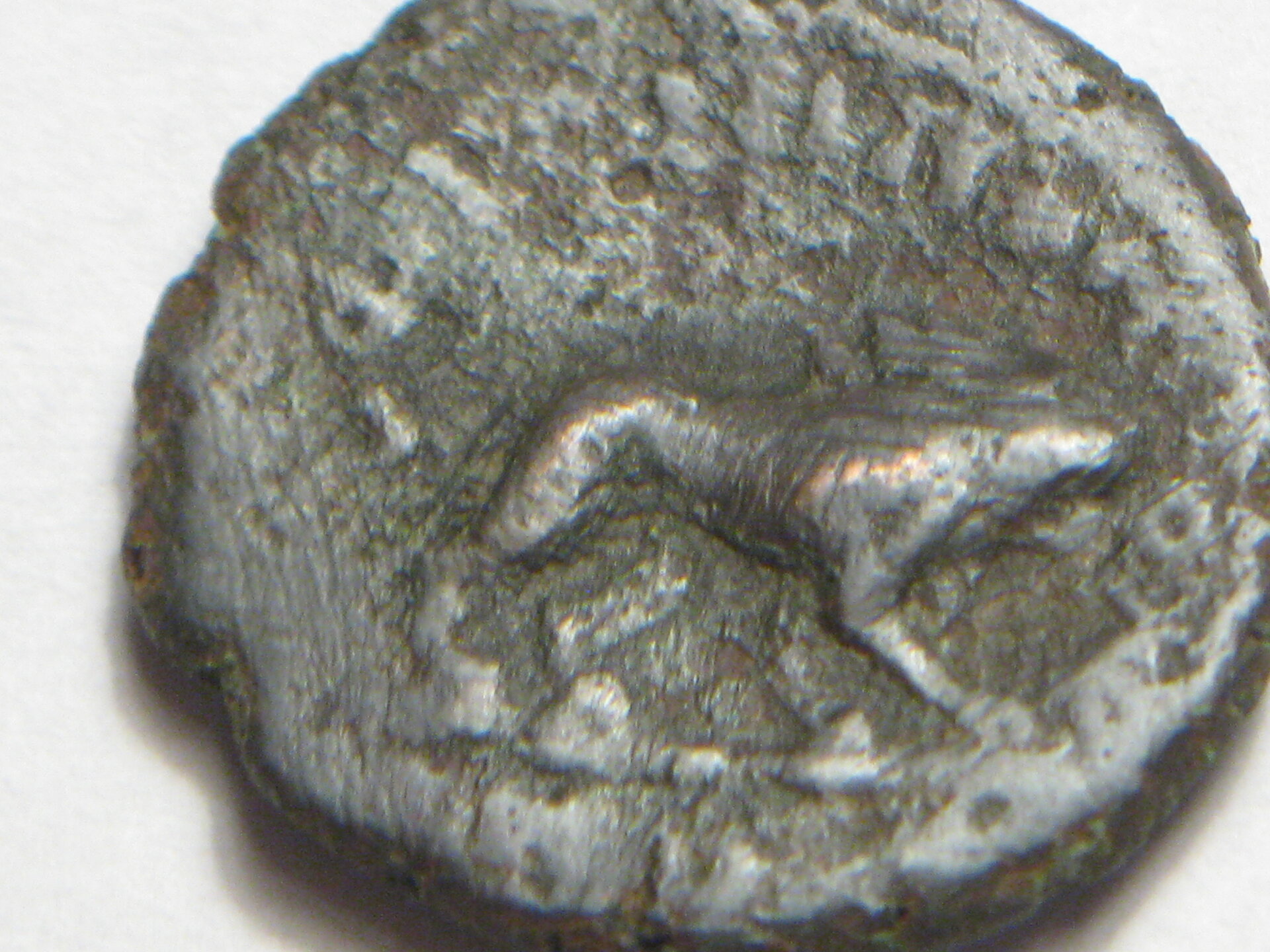coins with lions 001.JPG