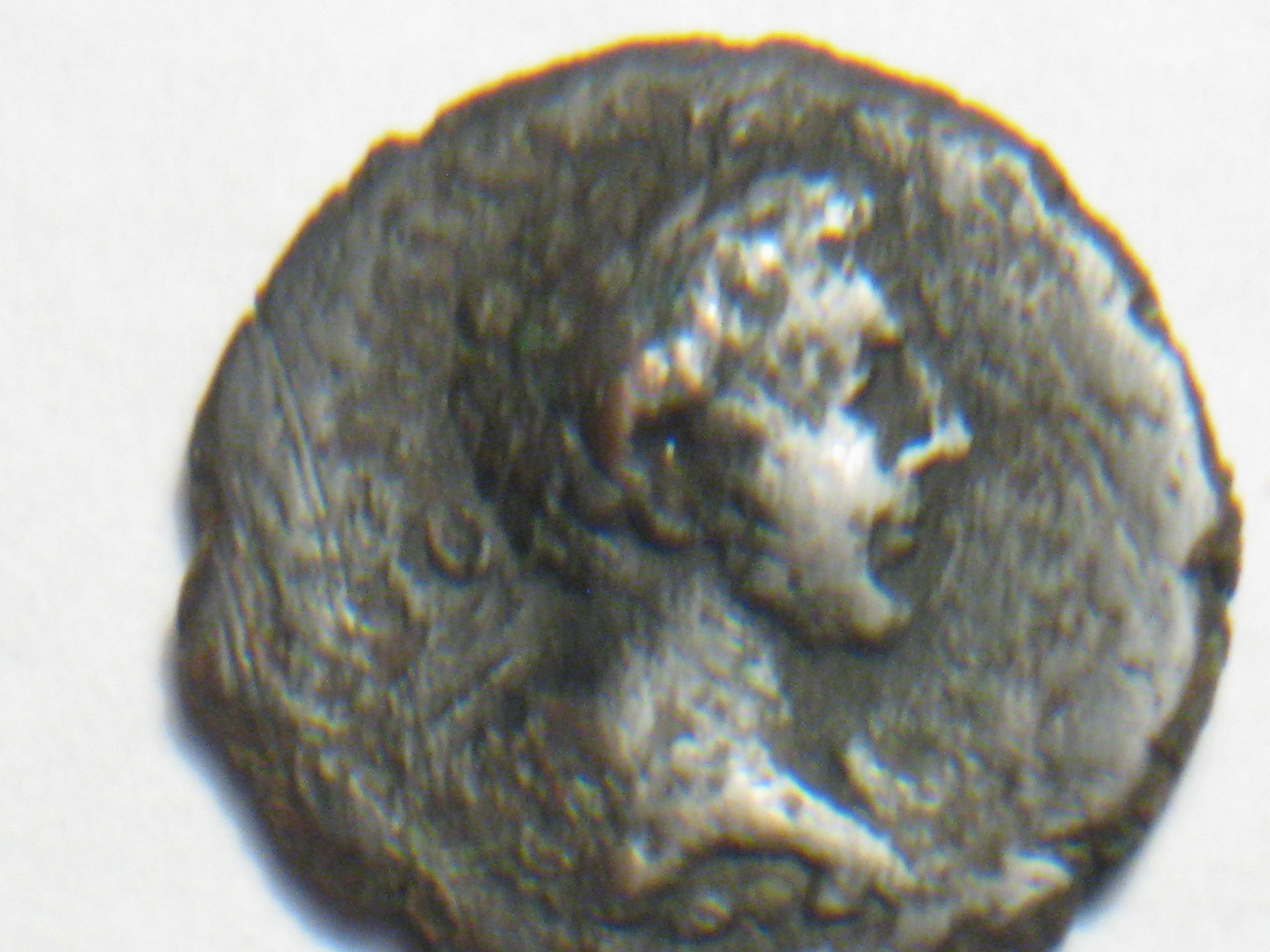 coins with lions 003.JPG