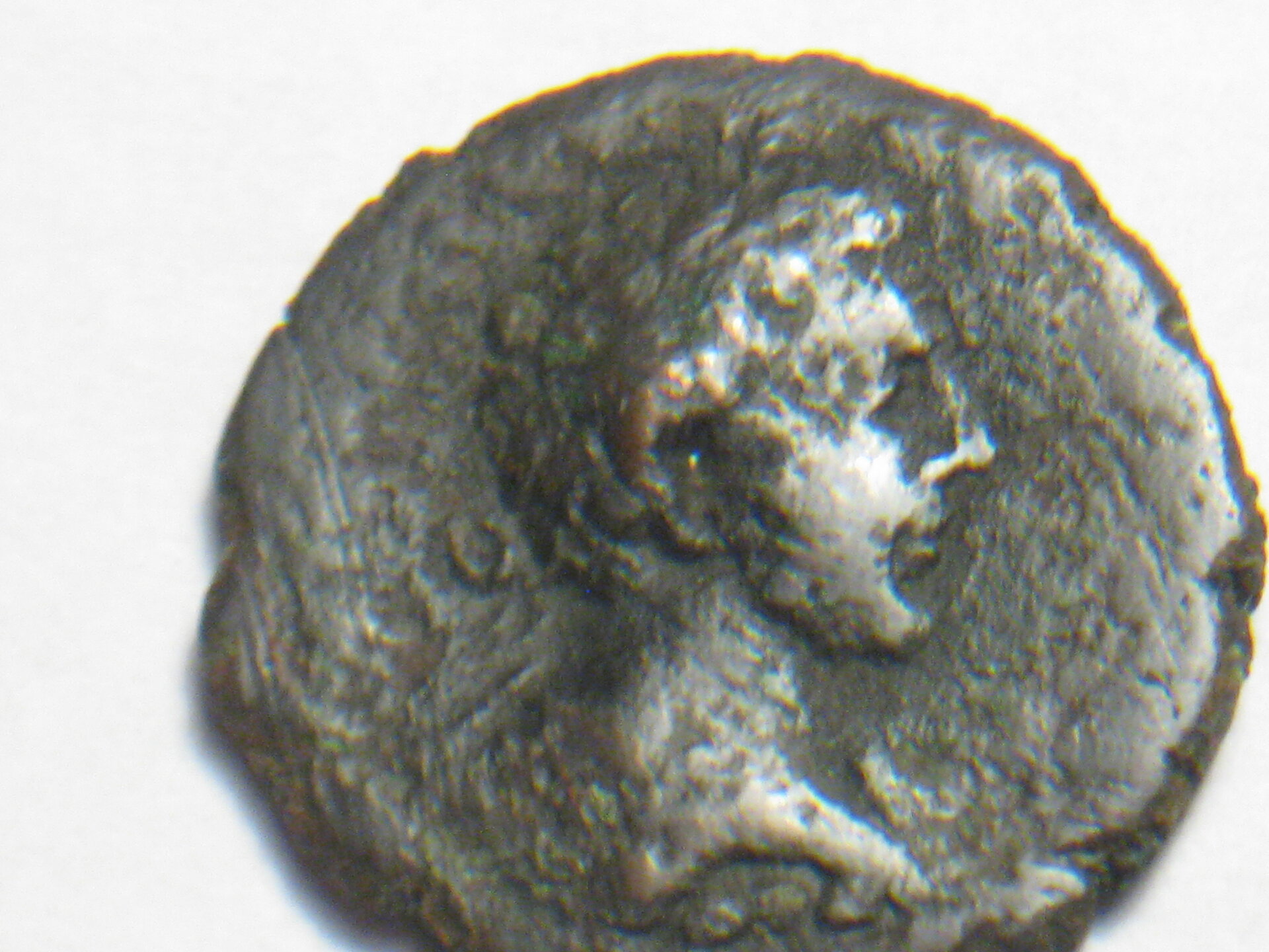 coins with lions 004.JPG