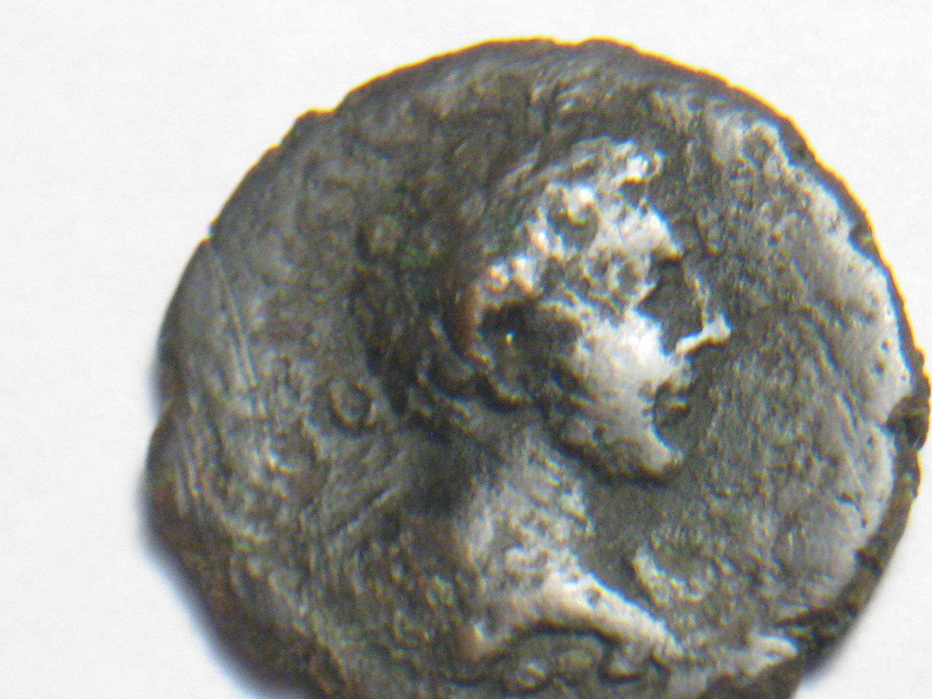 coins with lions 004.JPG
