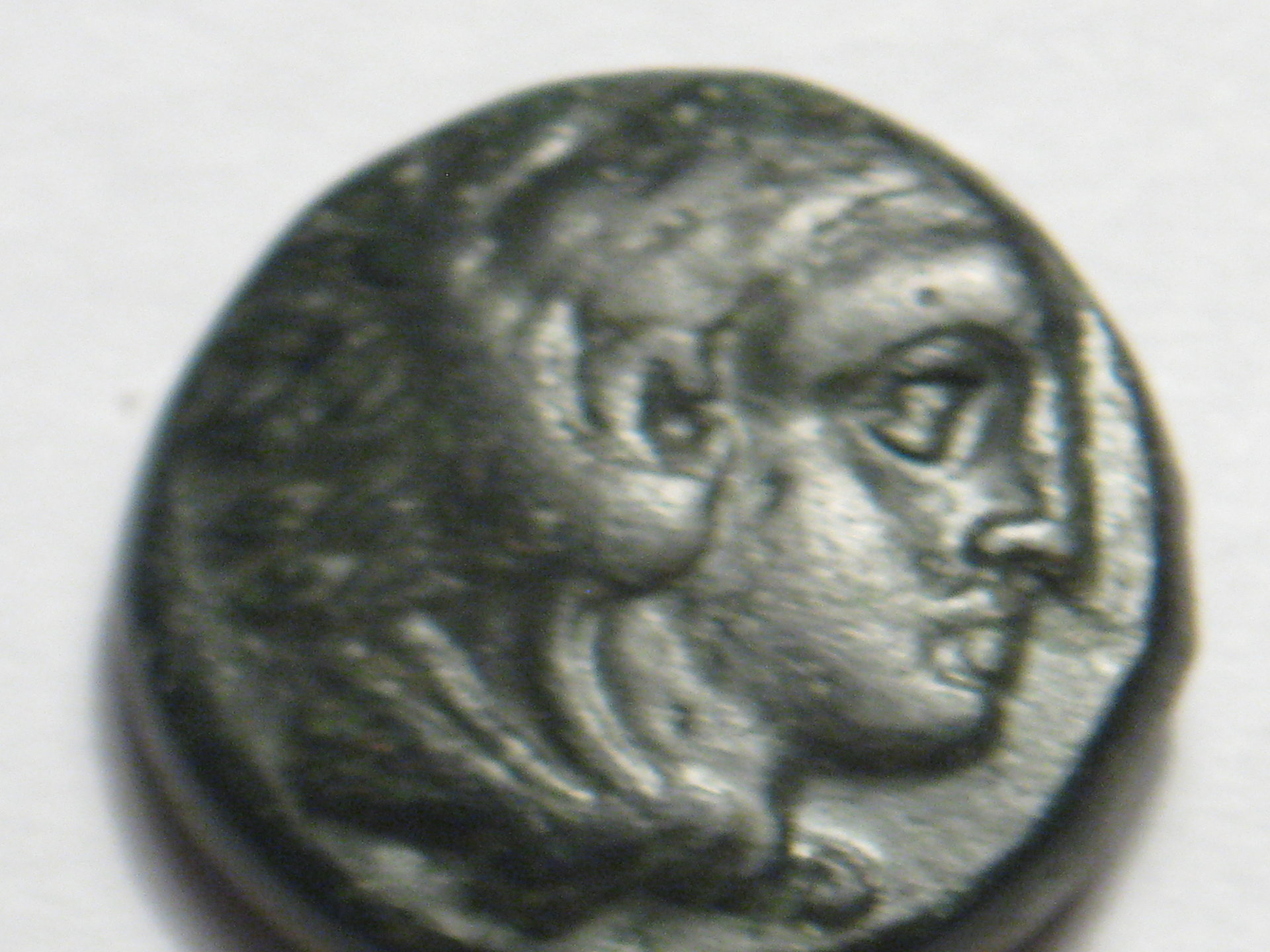 coins with lions 009.JPG