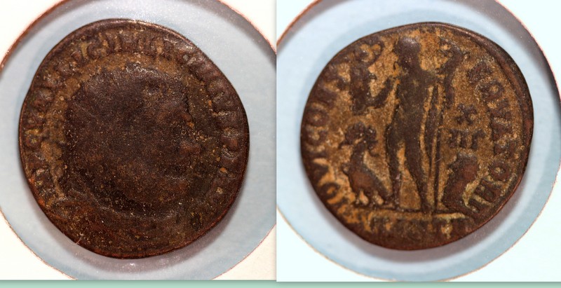 Coins1.jpg