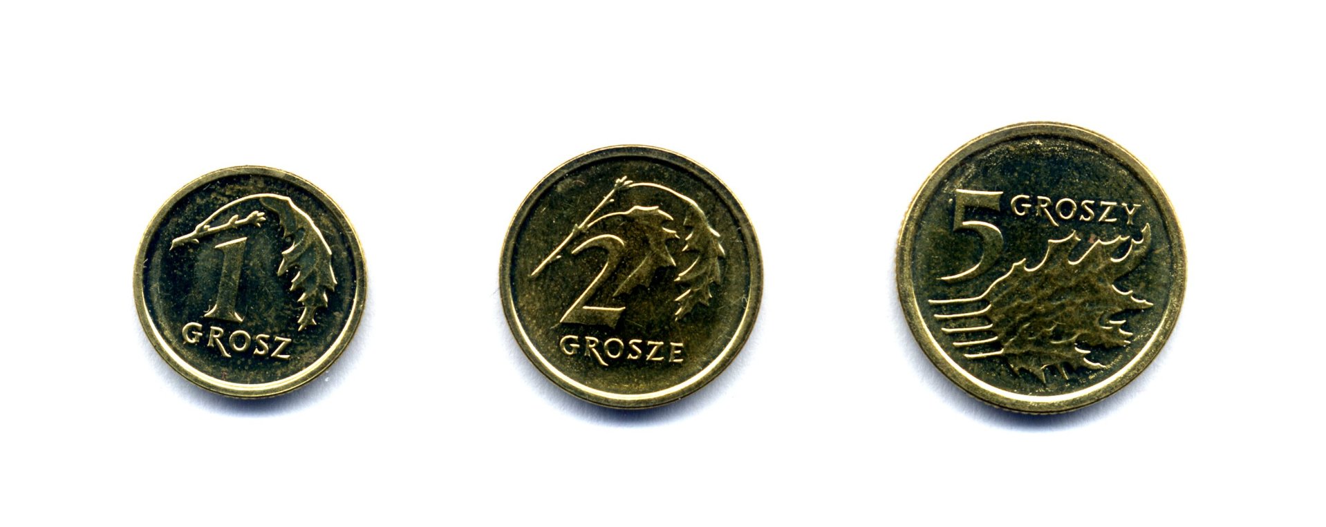 coins316.jpg