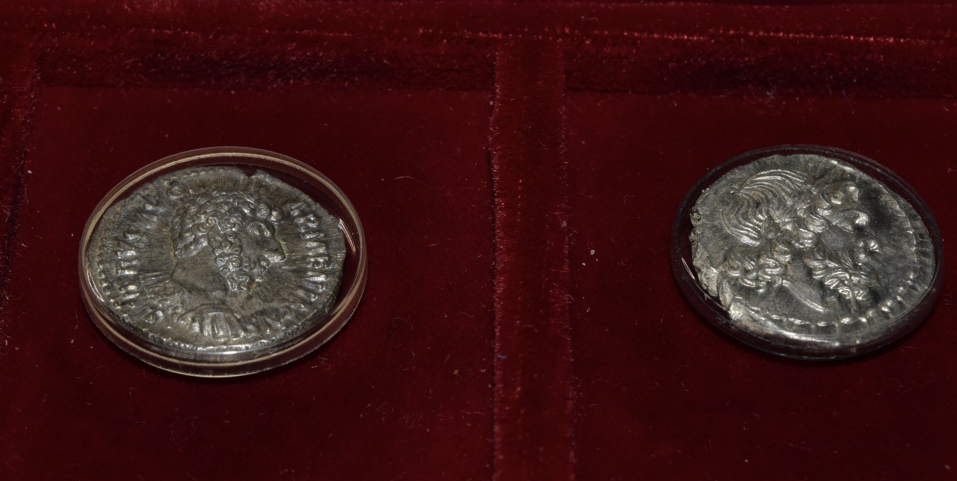 cointain closeup.jpg