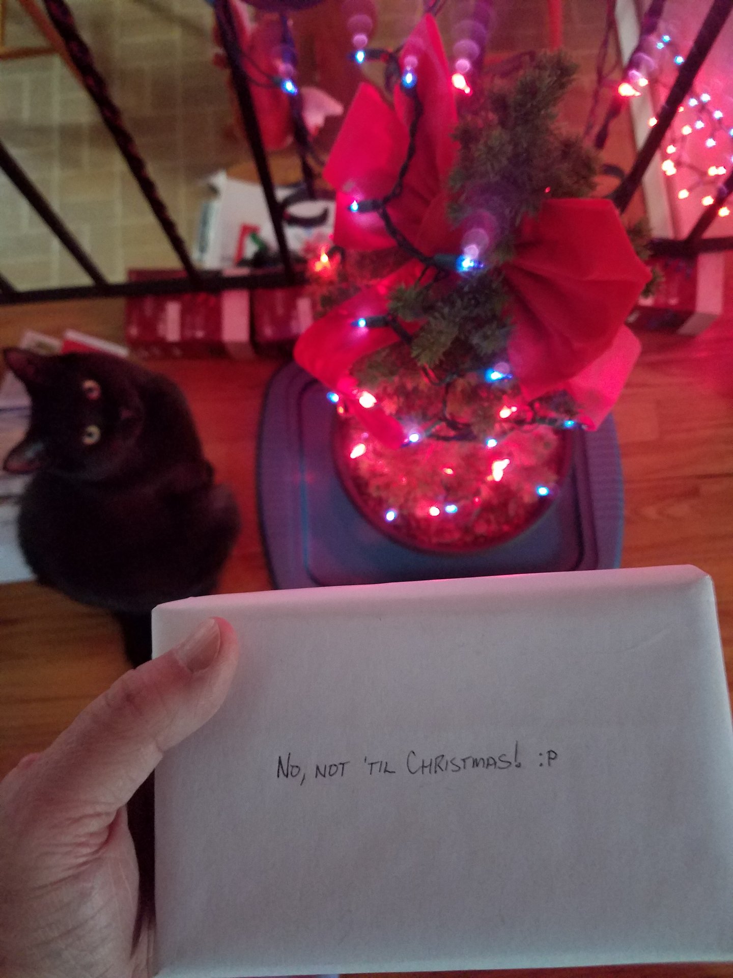cointalk_xmas.jpg