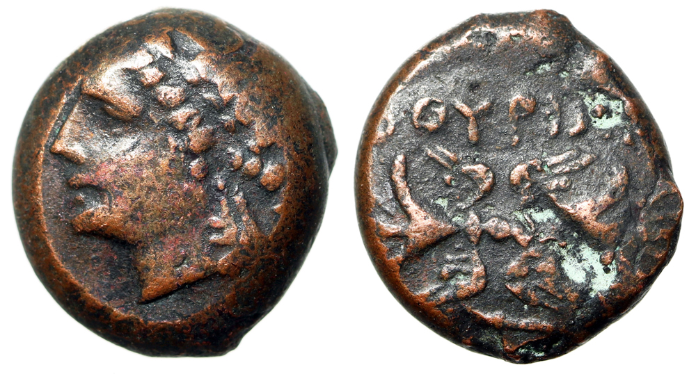 CointhuriumLucania1.jpg
