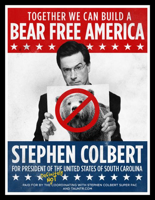 colbert bear.jpg