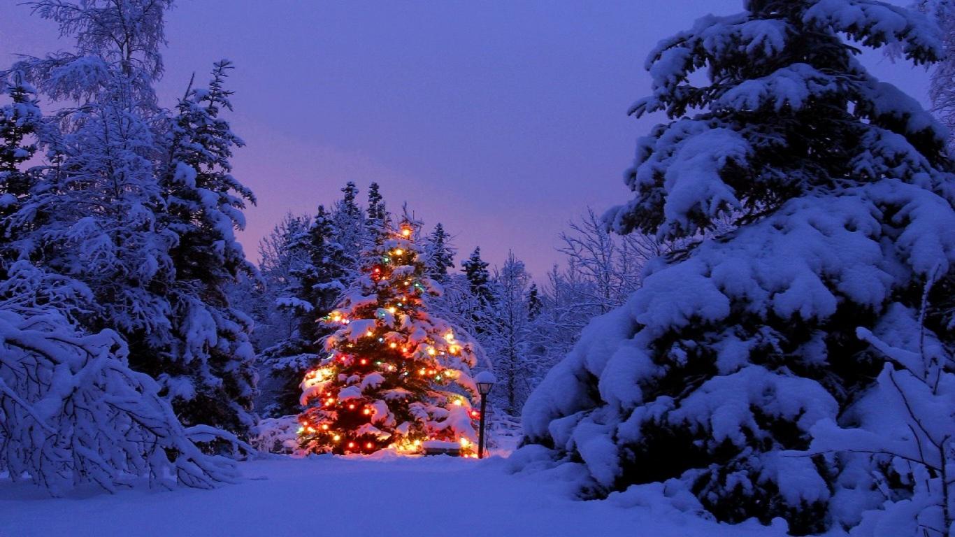 cold-christmas-landscapes-winter,1366x768,25991 - Copy.jpg