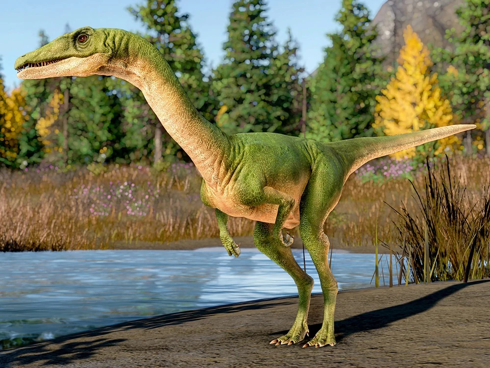 Coleophysis.jpg