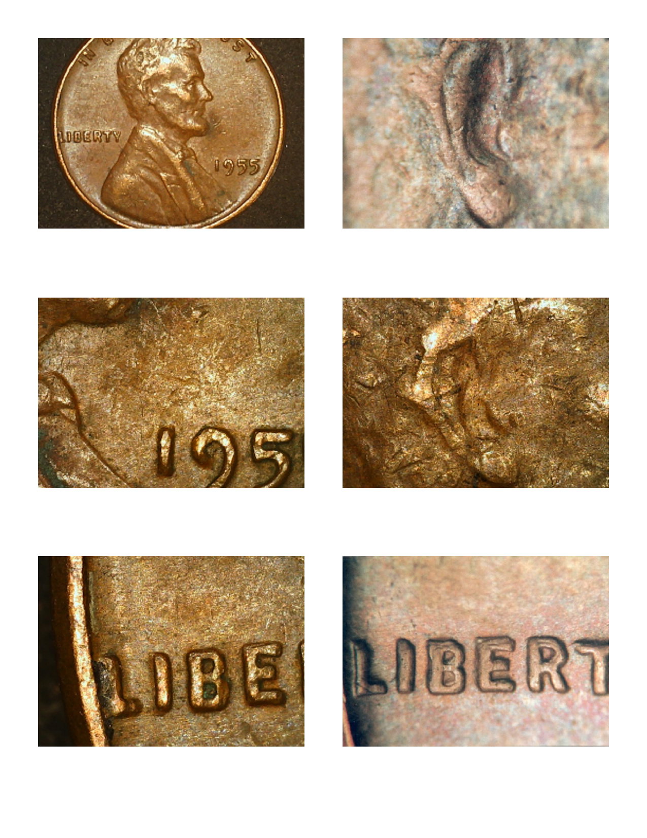 COLLAGE 1955 P 1.jpg