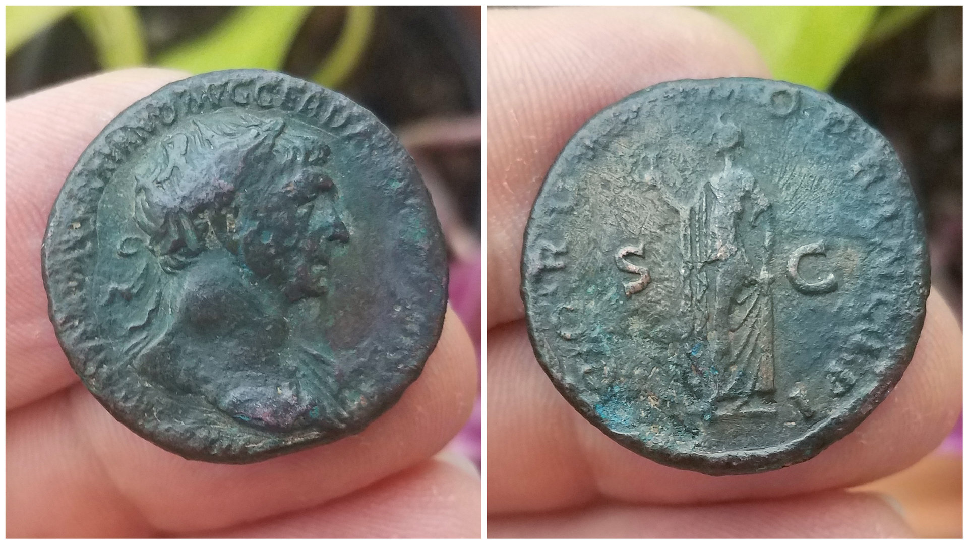 Aorta: A guide for the Roman coin collector