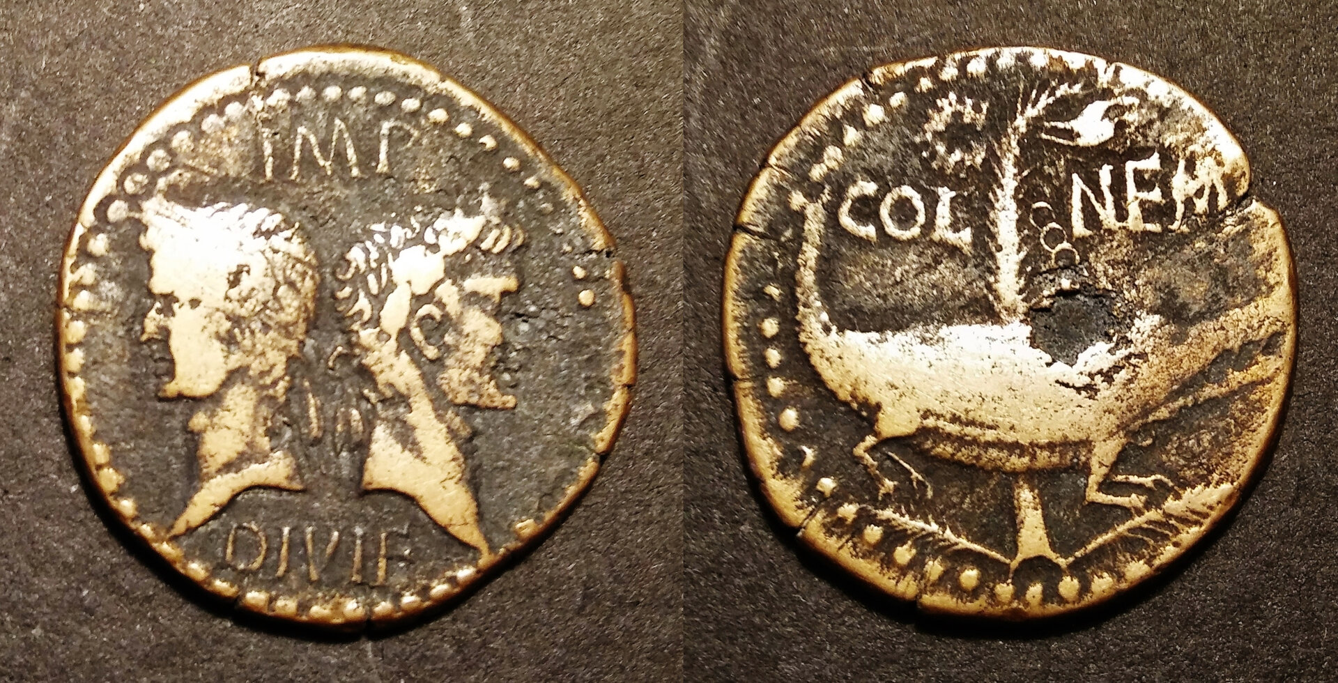 COMBINED Augustus & Agrippa - crocodile - COL NEM dupondius.jpg