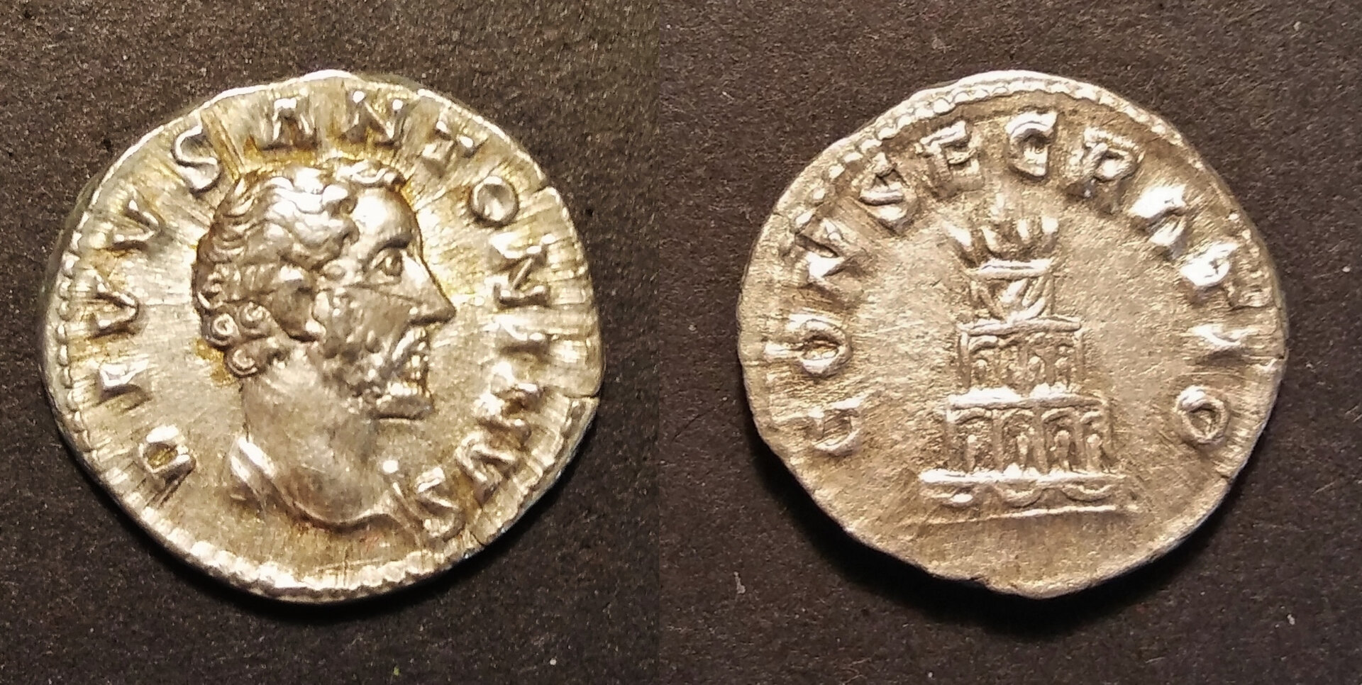 COMBINED Divus Antoninus Pius - Consecratio.jpg