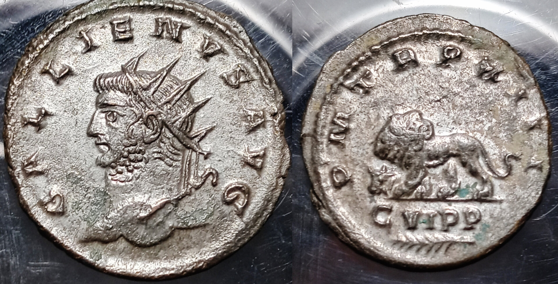 combined Gallienus lion.jpg