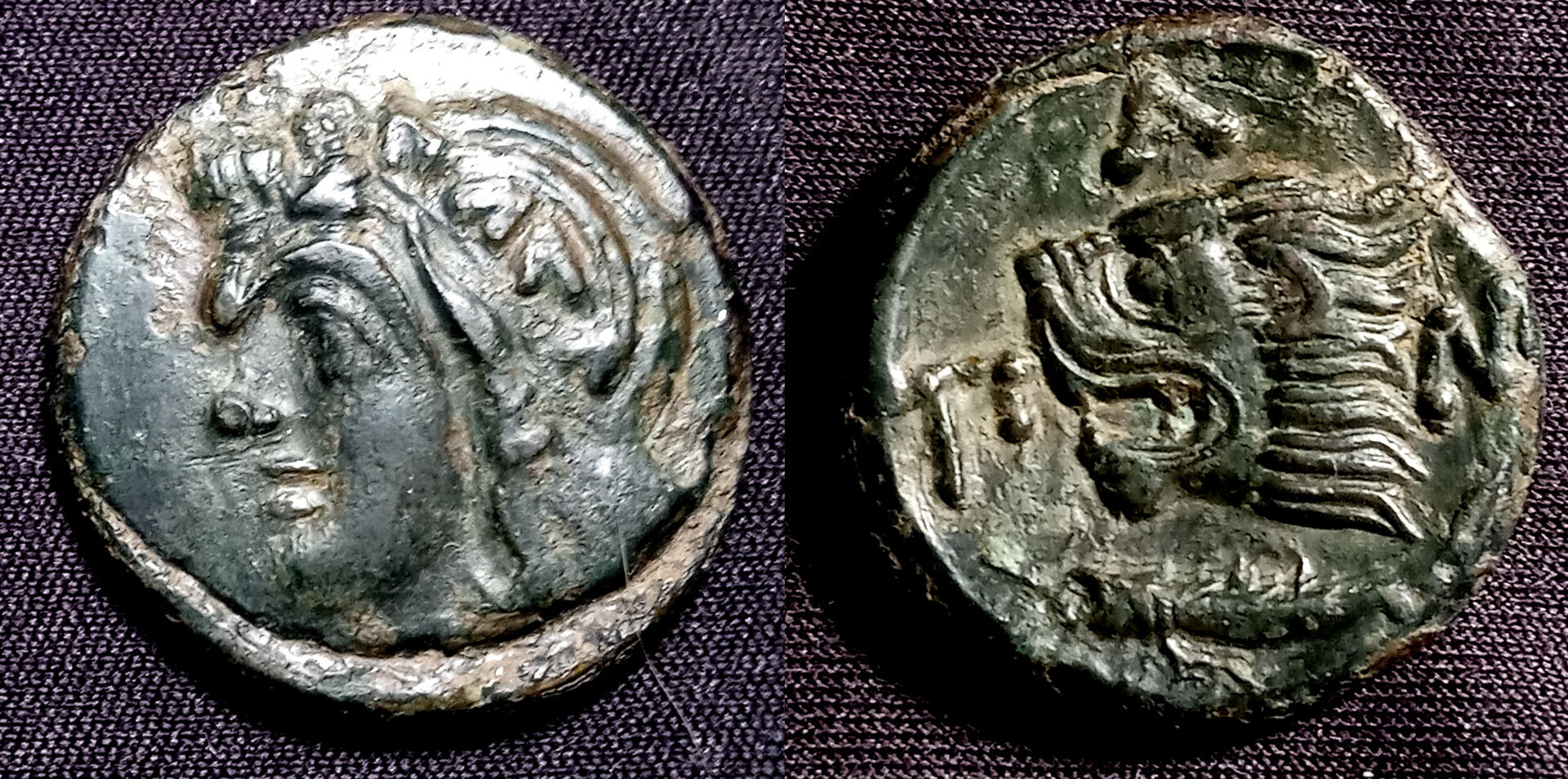 COMBINED NEW 1 Pantik Lion.jpg