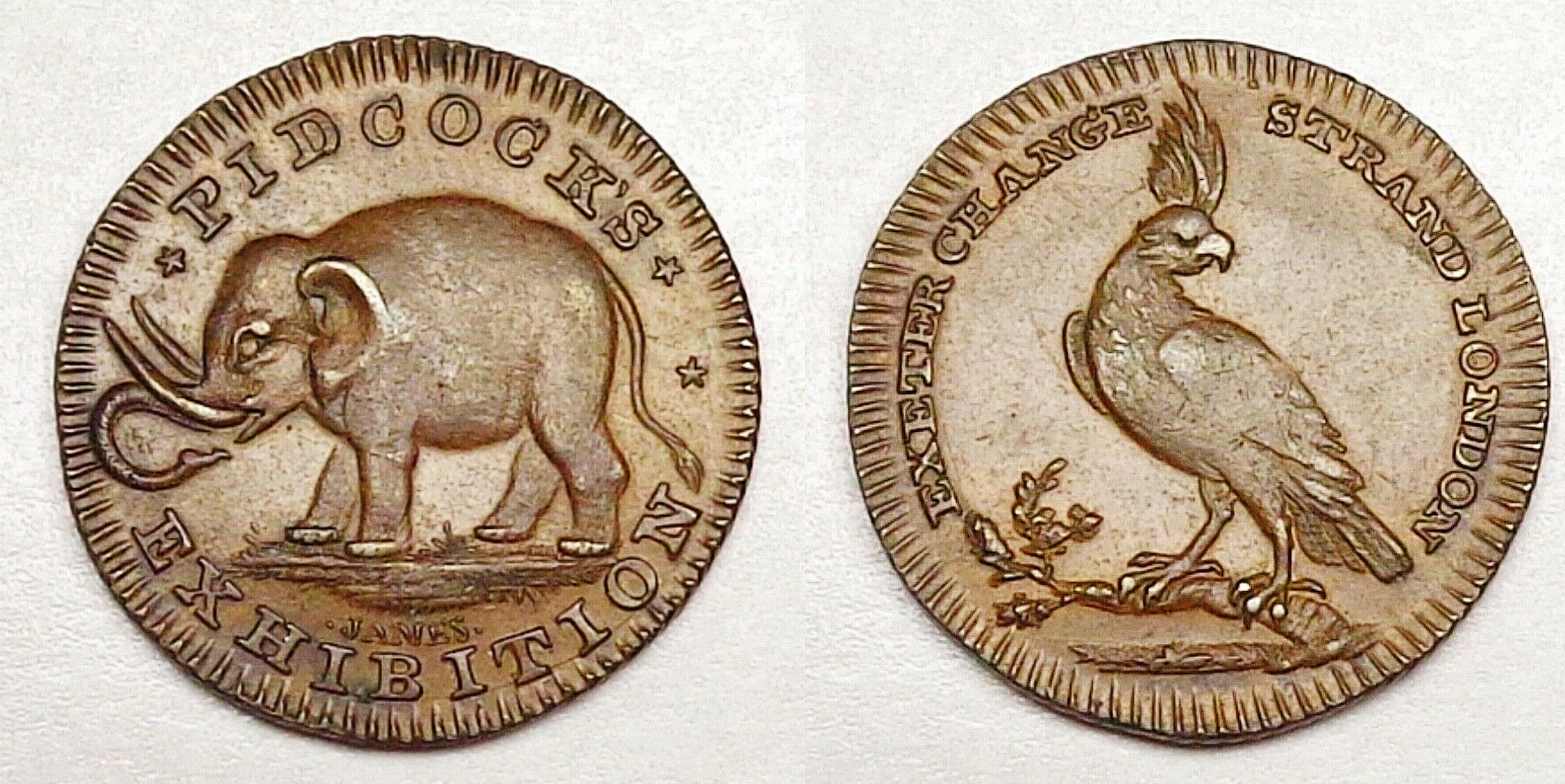 COMBINED Pidcock token elephant - cockatoo.jpg