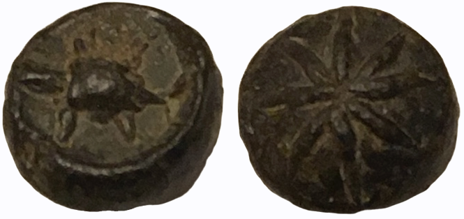 Combined Srivijaya Turtle.png