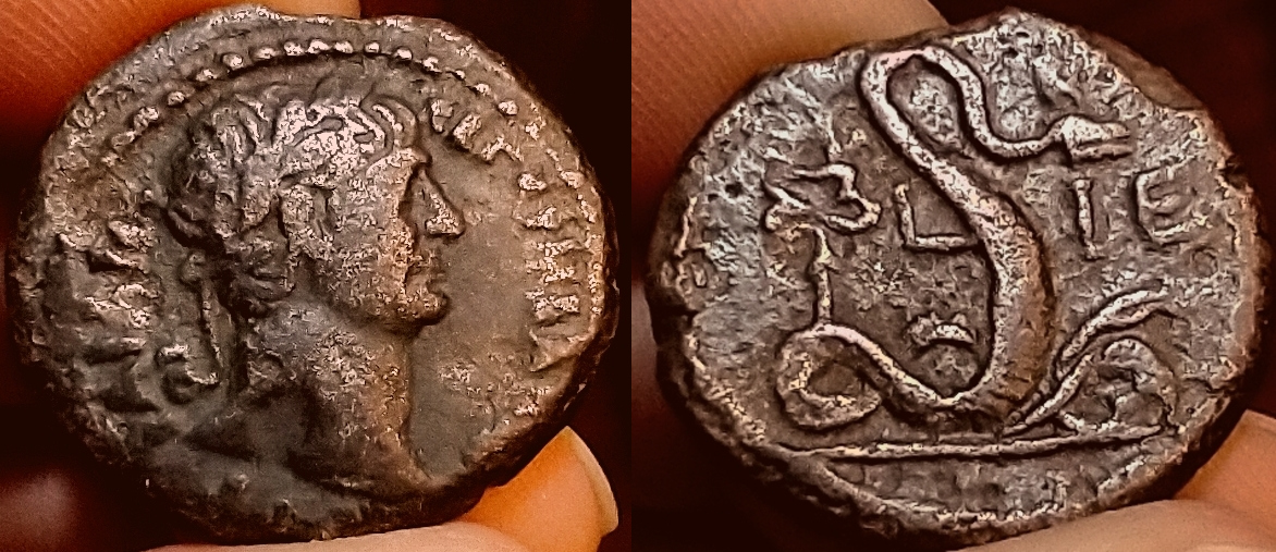 COMBINED Trajan - Agathodaemon, Roman Alexandria Yr 15.jpg