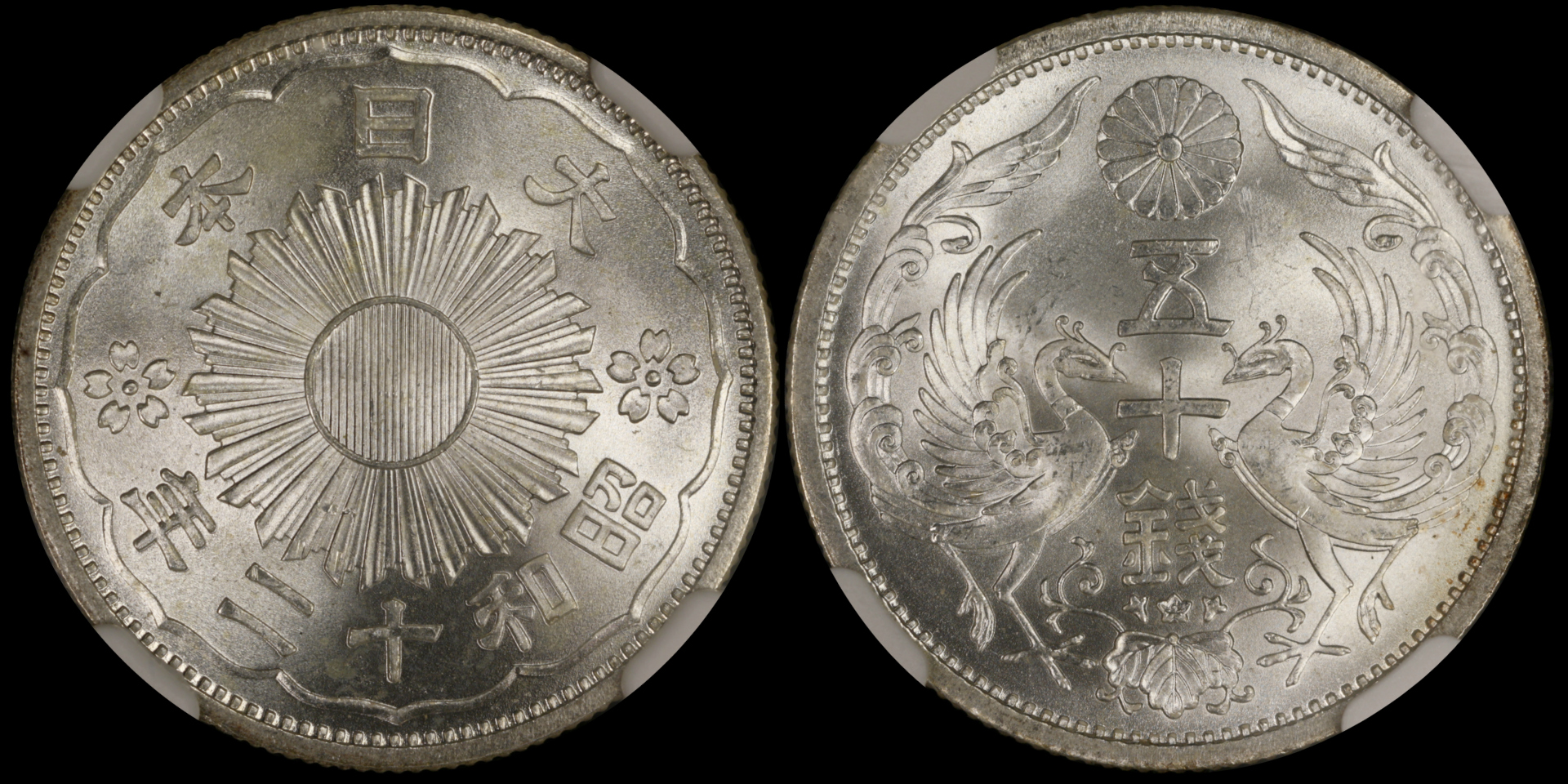 combo 1920.jpg