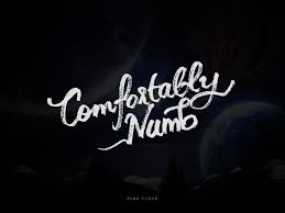 comfortly numb.jpg