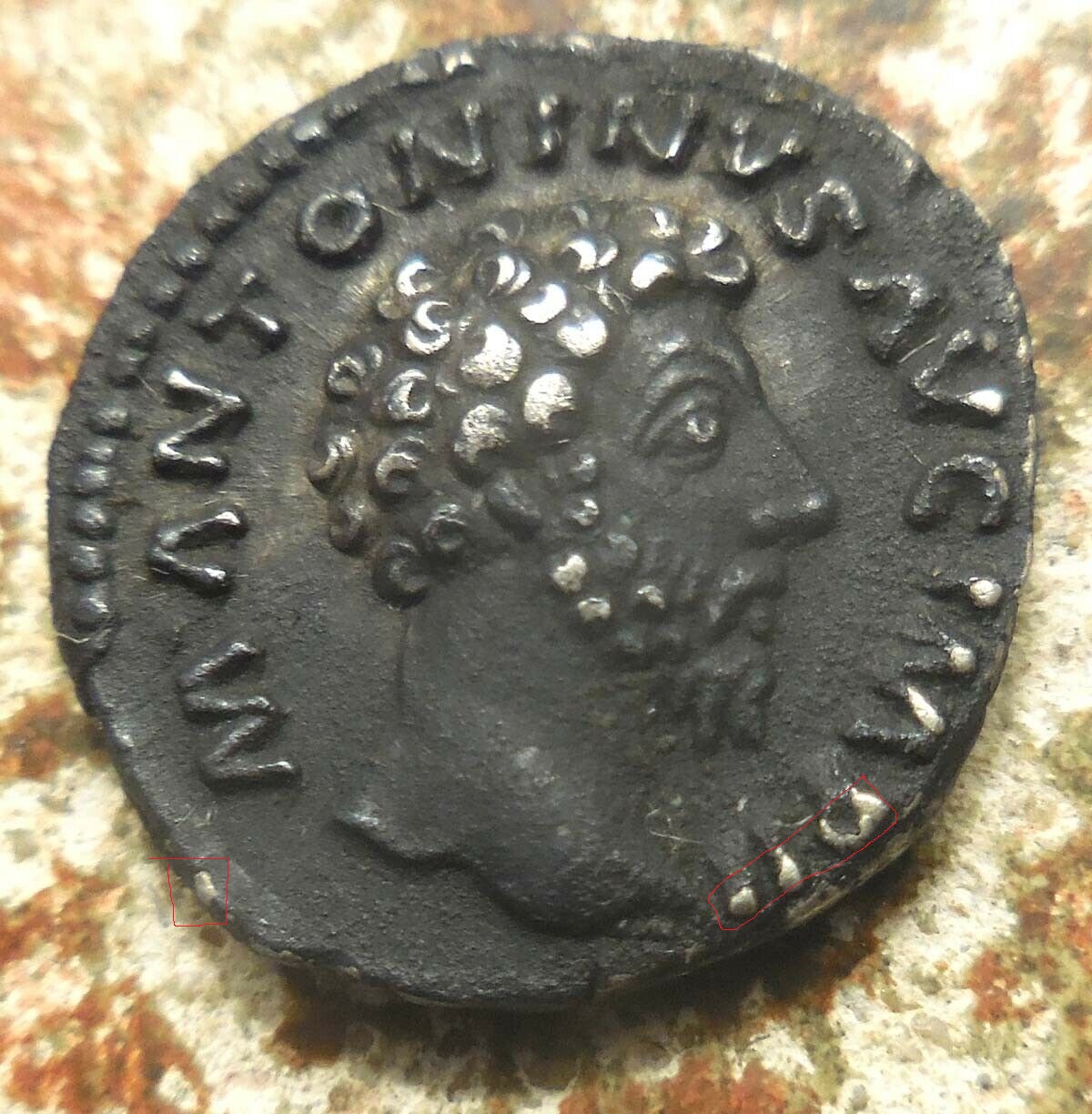 commodus(1).jpg
