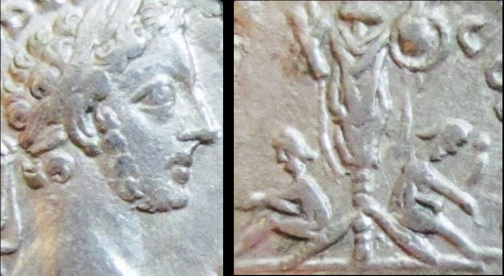 commodus captives Zoom.png
