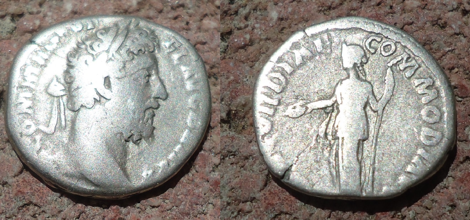 Commodus - Condordiae Commod den. May 2018 (0).jpg